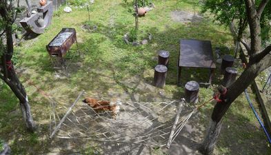 ევროპა_5